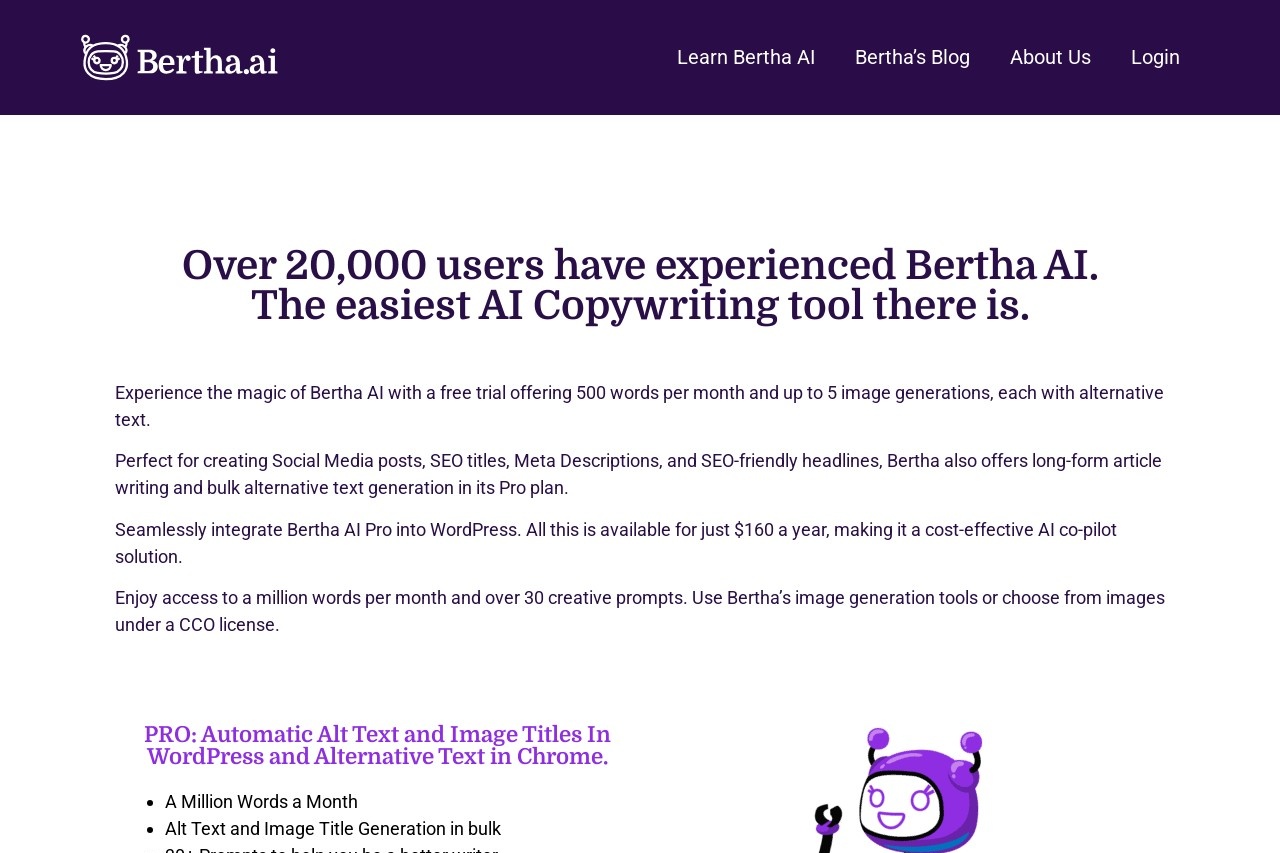 Bertha AI
