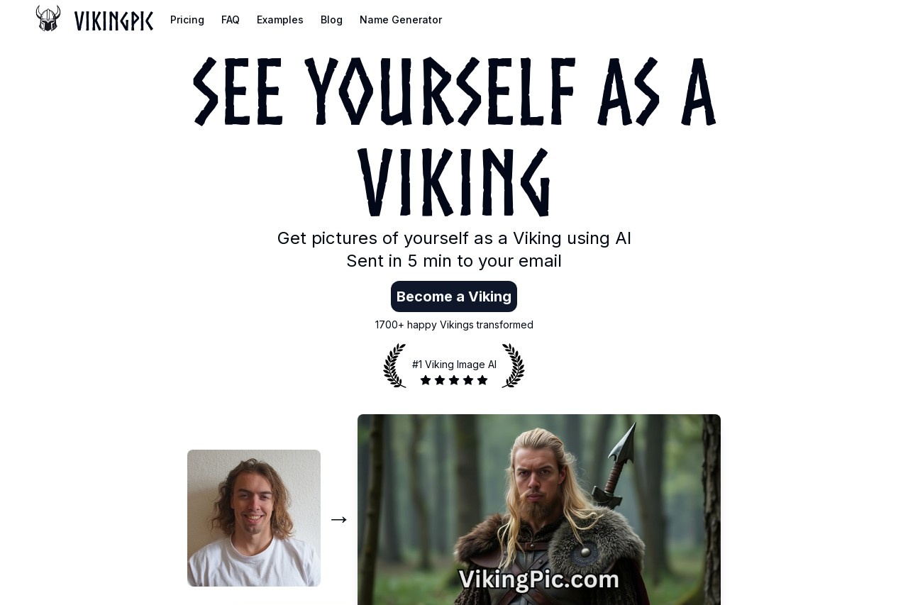 VikingPic