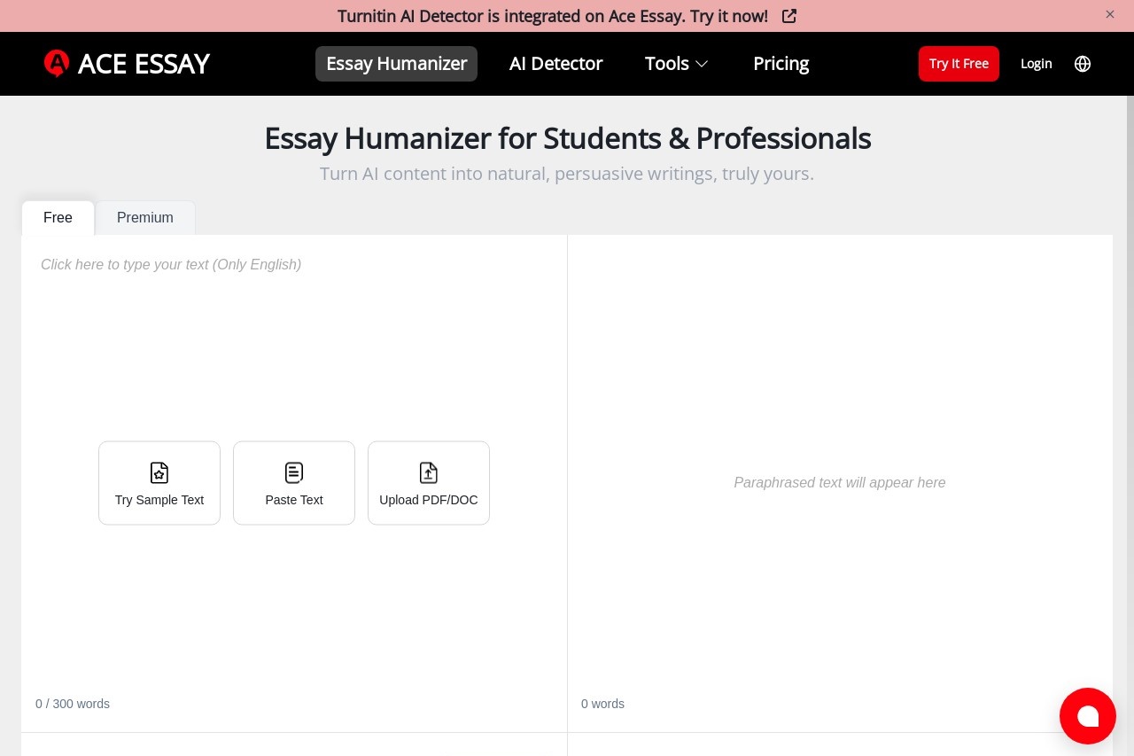 Essay Humanizer