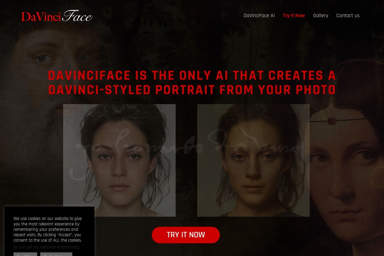 DaVinciFace