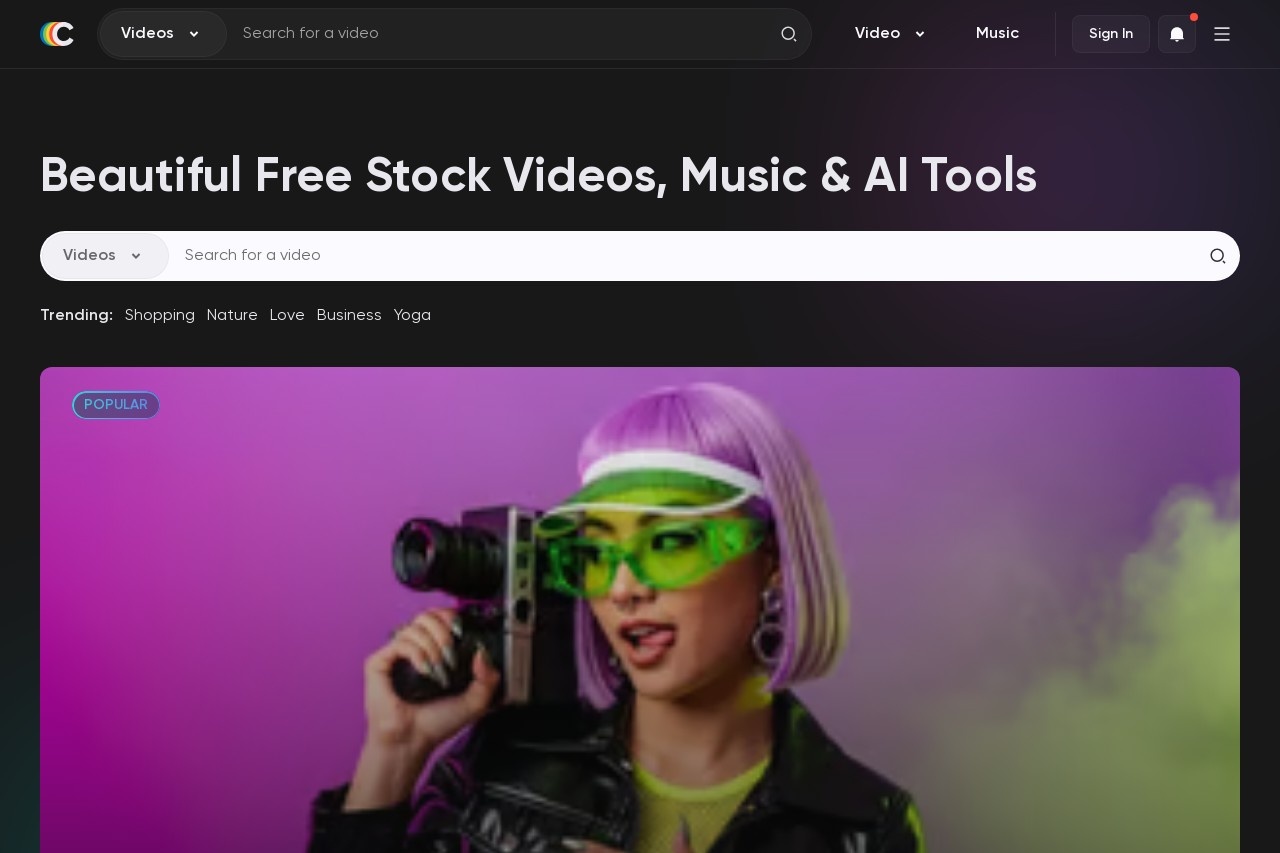 Stock Videos
