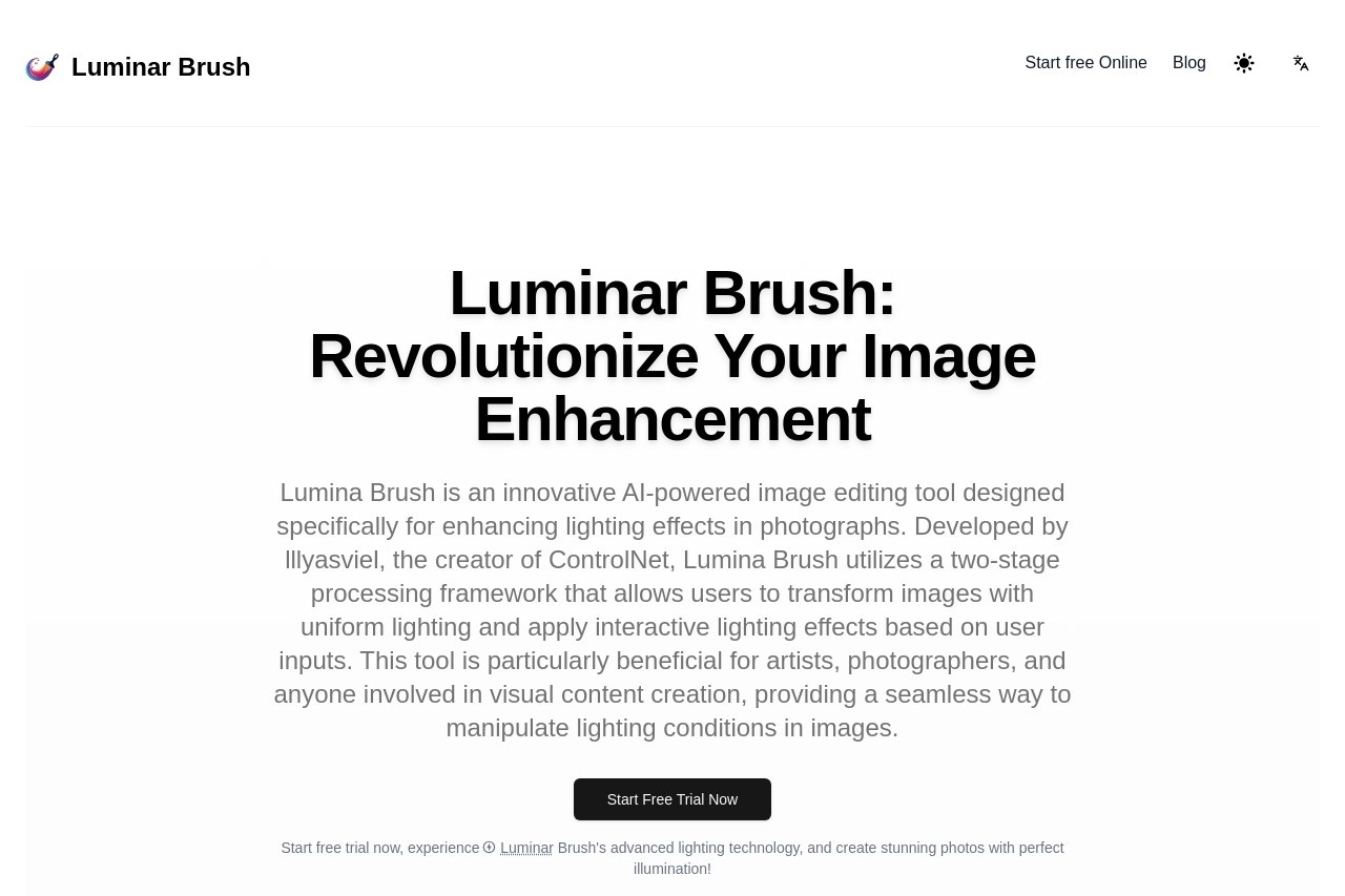 Luminar Brush