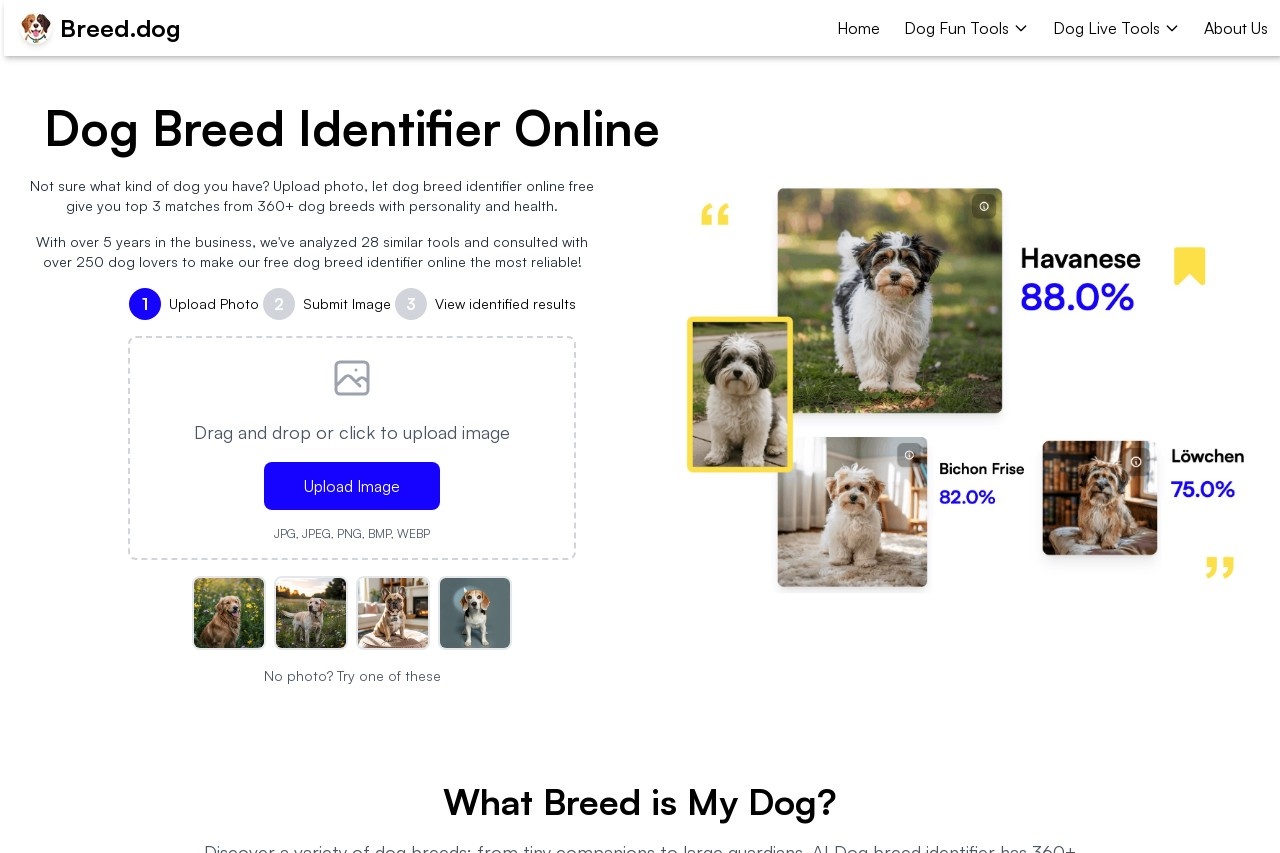 Breed.Dog
