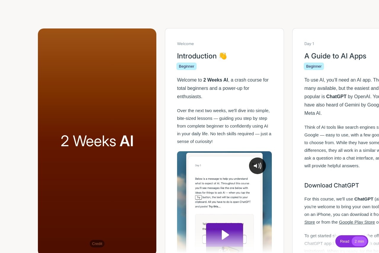 2 Weeks AI
